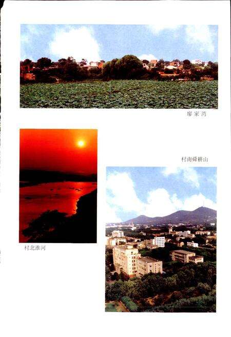 《廖家湾村志》.pdf电子版_安徽省志预览图5