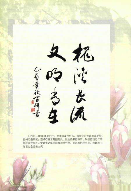 《冯村志》.pdf电子版_安徽省志预览图2