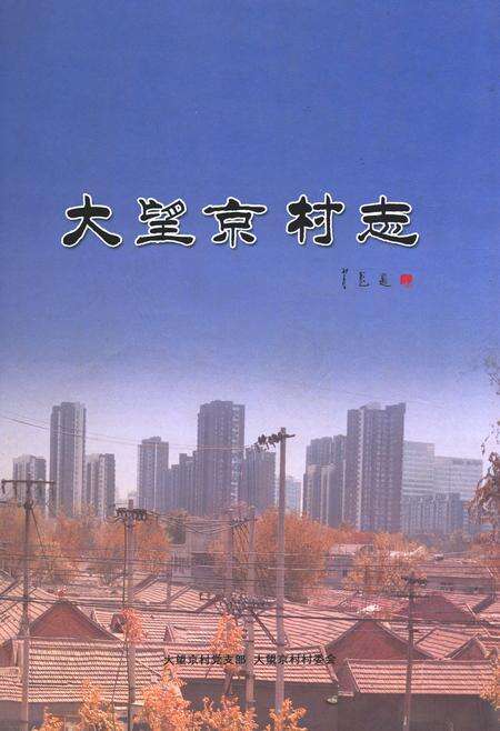《大望京村志》.pdf电子版_北京市志缩略图