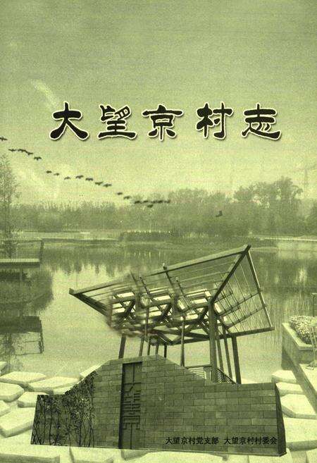 《大望京村志》.pdf电子版_北京市志预览图1