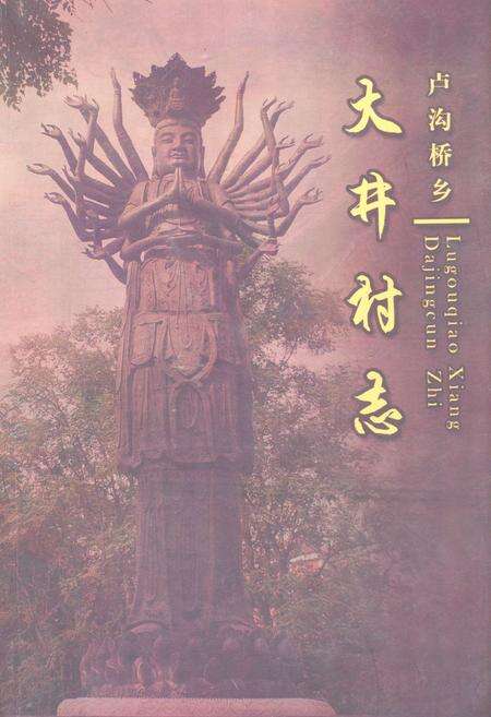 《丰台区卢沟桥乡大井村志》.pdf电子版_北京市志缩略图