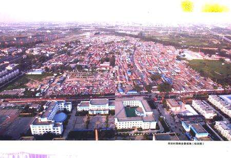 《羊坊村志》.pdf电子版_北京市志预览图4