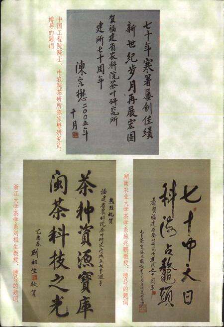 《福建省农业科学院茶叶研究所 所志》.pdf电子版_福建省志预览图4