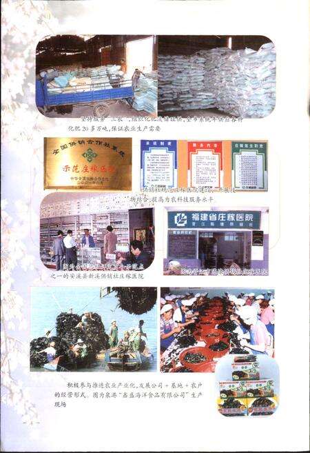 《泉州市供销合作社志》.pdf电子版_福建省志预览图5