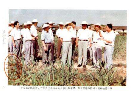 《仙游农业志》.pdf电子版_福建省志预览图1