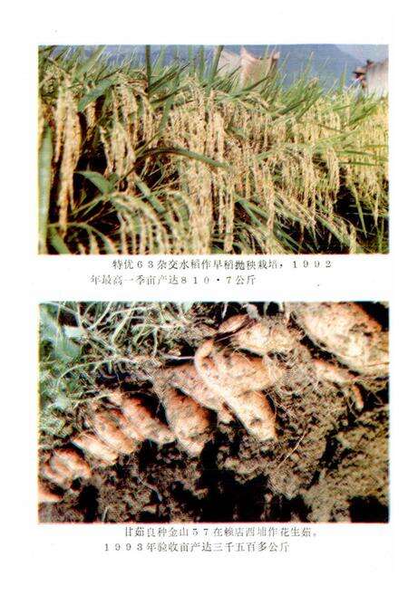 《仙游农业志》.pdf电子版_福建省志预览图3