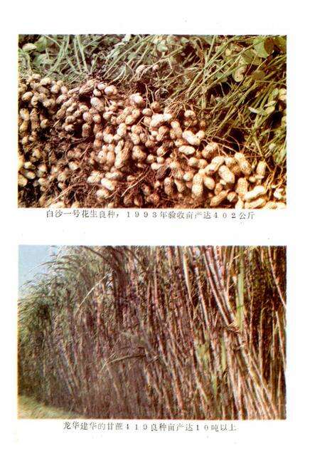 《仙游农业志》.pdf电子版_福建省志预览图4