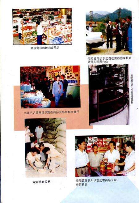 《三明市粮食志》.pdf电子版_福建省志预览图4