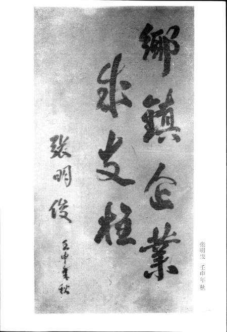 《泉州市乡镇企业志》.pdf电子版_福建省志预览图4