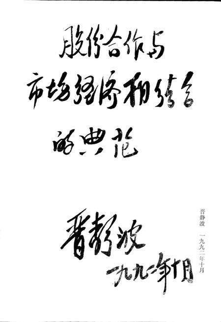 《泉州市乡镇企业志》.pdf电子版_福建省志预览图5