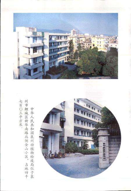 《泉州动植物检疫局志》.pdf电子版_福建省志预览图4