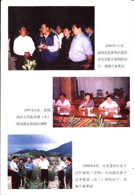 《仙游县供销合作社志》.pdf电子版_福建省志预览图4