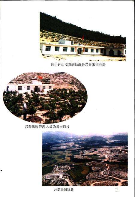 《仙游县供销合作社志》.pdf电子版_福建省志预览图5