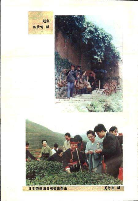 《福安畲族志》.pdf电子版_福建省志预览图5