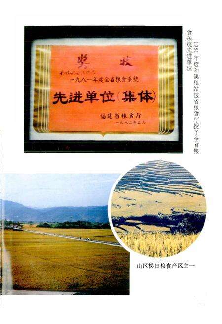 《南靖县粮食志》.pdf电子版_福建省志预览图5