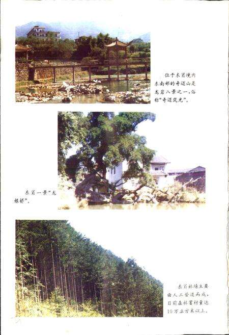 《东肖镇志》.pdf电子版_福建省志预览图4