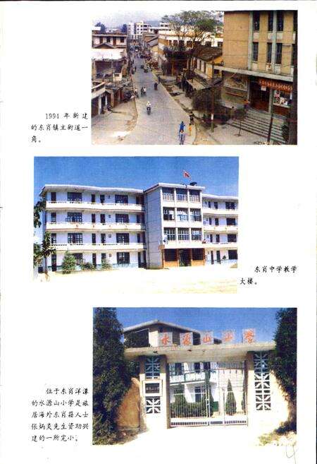 《东肖镇志》.pdf电子版_福建省志预览图5