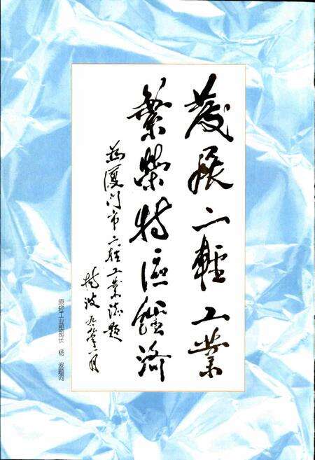 《厦门市二轻工业志》.pdf电子版_福建省志预览图4