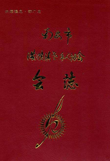 《南安市洪濑镇老年人协会会志》.pdf电子版_福建省志缩略图