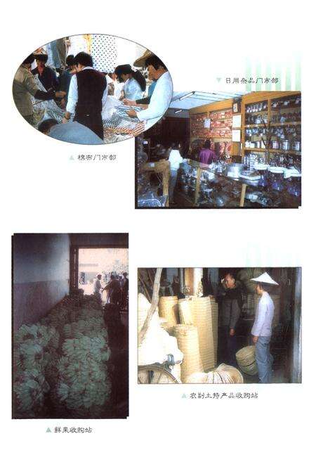 《芗城区供销合作社志》.pdf电子版_福建省志预览图5