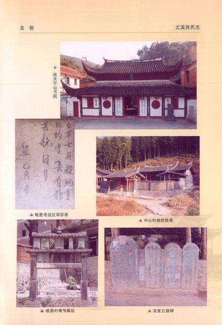 《尤溪姓氏志》.pdf电子版_福建省志预览图5