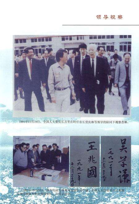 《杏滨街道志》.pdf电子版_福建省志预览图3