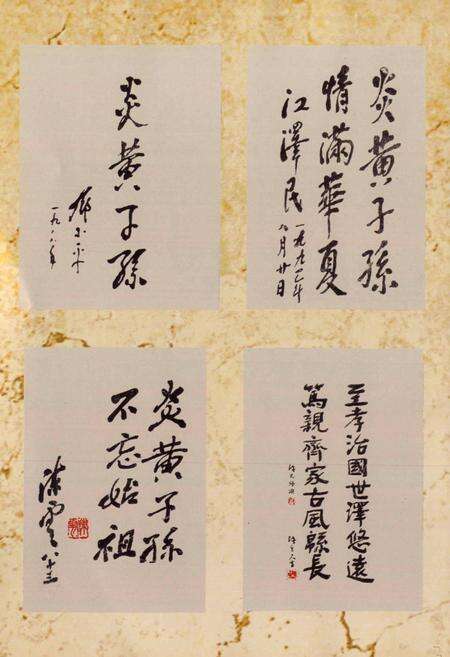 《珠湖村志》.pdf电子版_福建省志预览图4