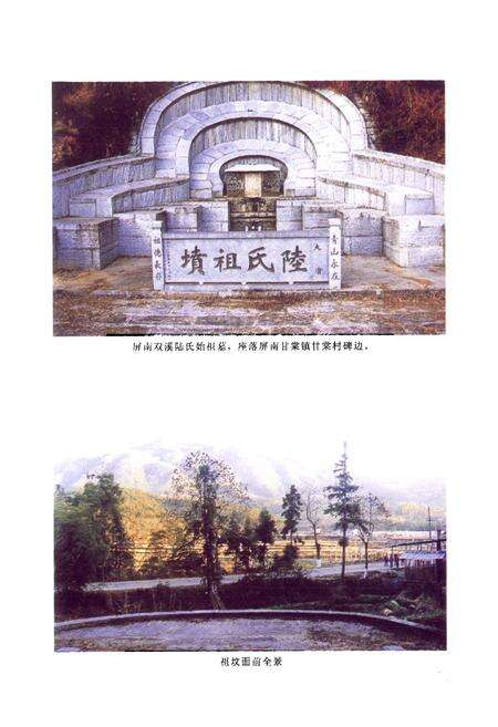 《石坑陆氏志》.pdf电子版_福建省志预览图3