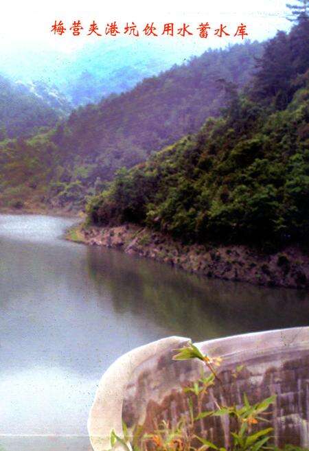 《梅营村志》.pdf电子版_福建省志预览图3