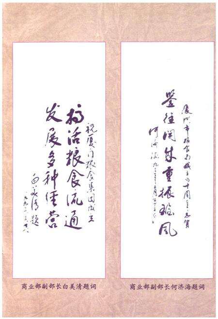 《厦门市粮食志》.pdf电子版_福建省志预览图5