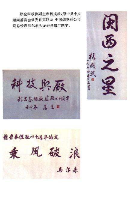 《龙岩卷烟厂厂史》.pdf电子版_福建省志预览图3
