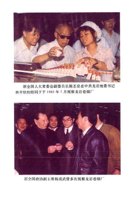《龙岩卷烟厂厂史》.pdf电子版_福建省志预览图5