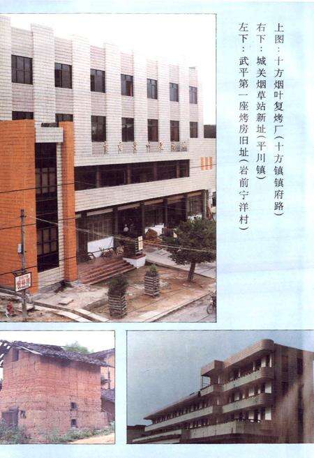 《福建省武平县烟草志》.pdf电子版_福建省志预览图3