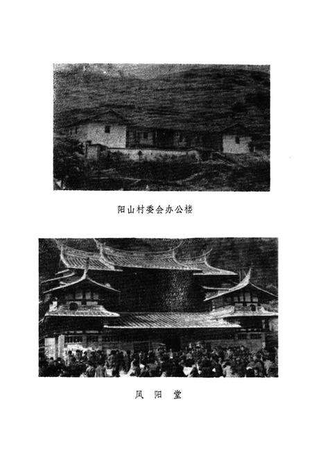 《阳山村志》.pdf电子版_福建省志预览图4