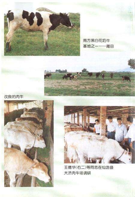 《莆田市畜牧志》.pdf电子版_福建省志预览图3