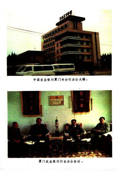 《厦门金融志》.pdf电子版_福建省志预览图5