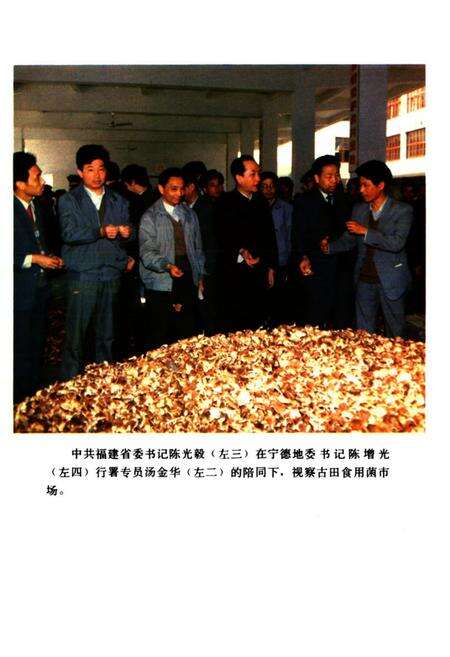 《宁德地区工商行政管理志》.pdf电子版_福建省志预览图4