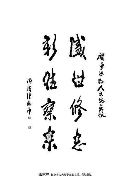 《罗源县人民代表大会志》.pdf电子版_福建省志预览图3