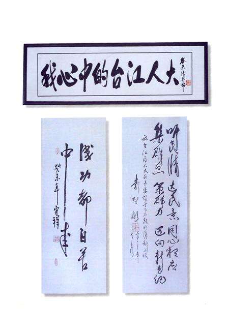 《台江区人民代表大会志》.pdf电子版_福建省志预览图5