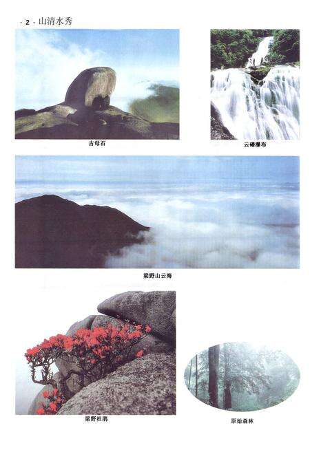 《武平县志(1988~2000)》.pdf电子版_福建省志预览图5