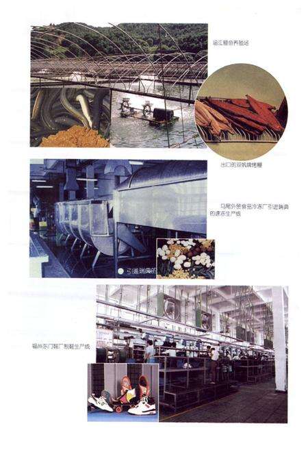 《福建省志·对外经贸志》.pdf电子版_福建省志预览图5
