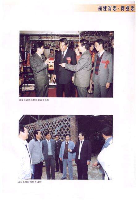 《福建省志·商业志》.pdf电子版_福建省志预览图2