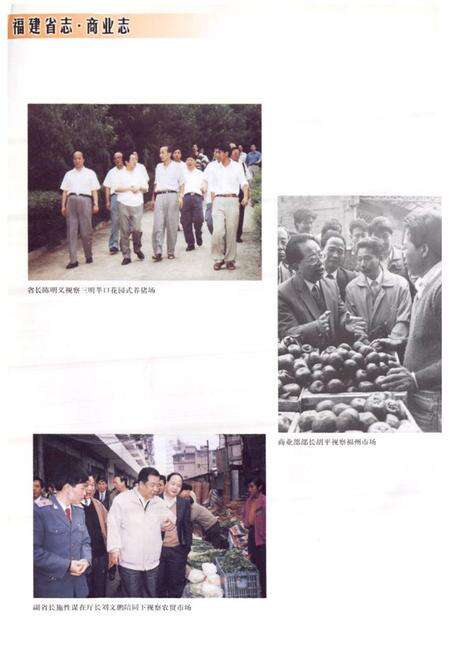 《福建省志·商业志》.pdf电子版_福建省志预览图3