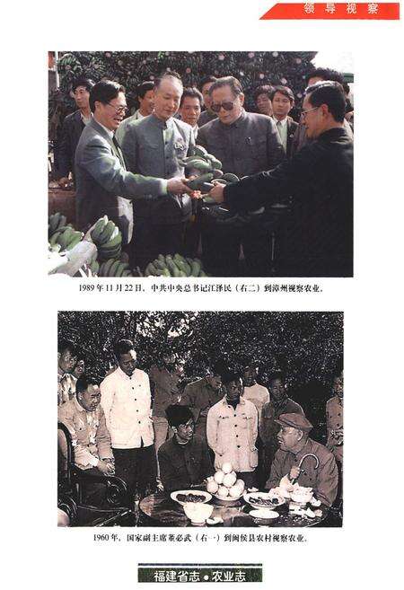 《福建省志·农业志》.pdf电子版_福建省志预览图2