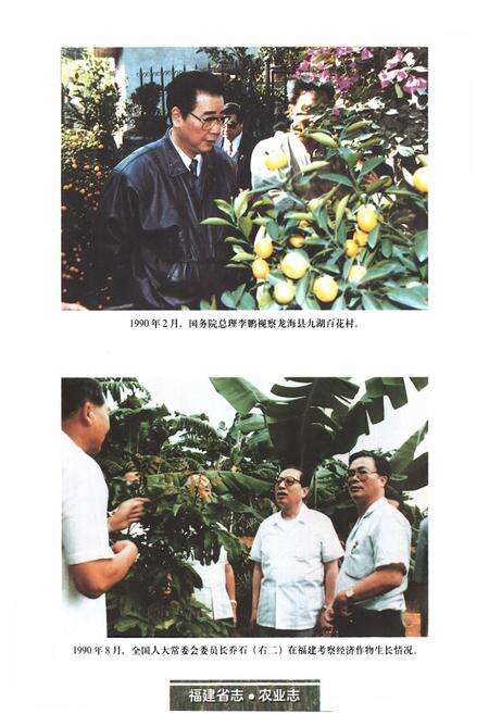《福建省志·农业志》.pdf电子版_福建省志预览图3