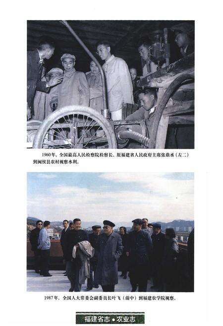 《福建省志·农业志》.pdf电子版_福建省志预览图4