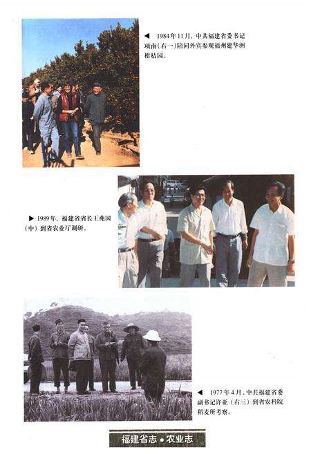 《福建省志·农业志》.pdf电子版_福建省志预览图5
