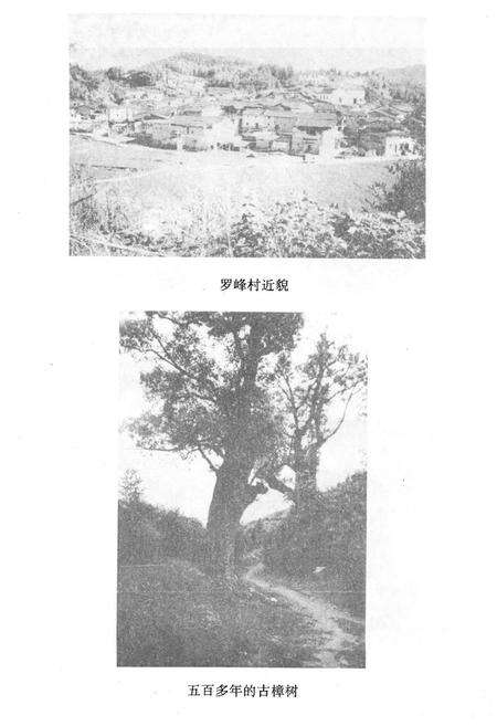 《《罗峰志》》.pdf电子版_福建省志预览图3