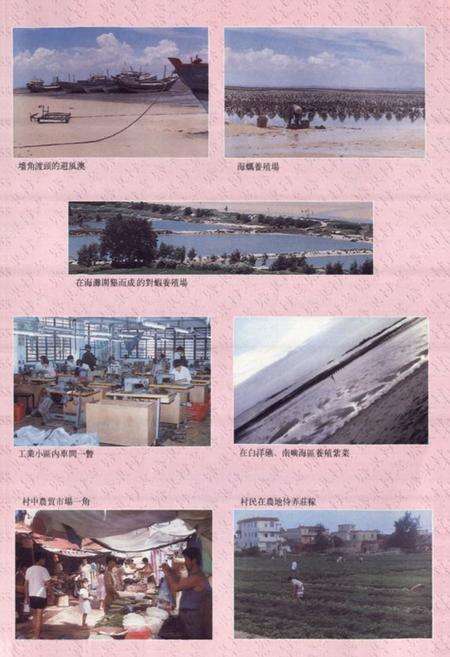 《塘东村志》.pdf电子版_福建省志预览图5