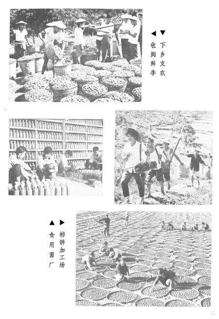 《《永泰县供销合作事业志》(1932-1986)》.pdf电子版_福建省志预览图3